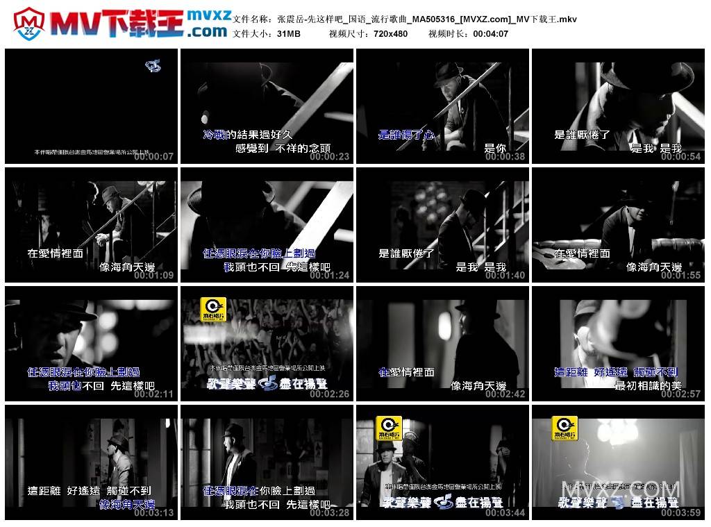 张震岳-先这样吧_国语_流行歌曲_MA505316